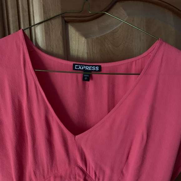 Express Pink Dress - Picture 3 of 3